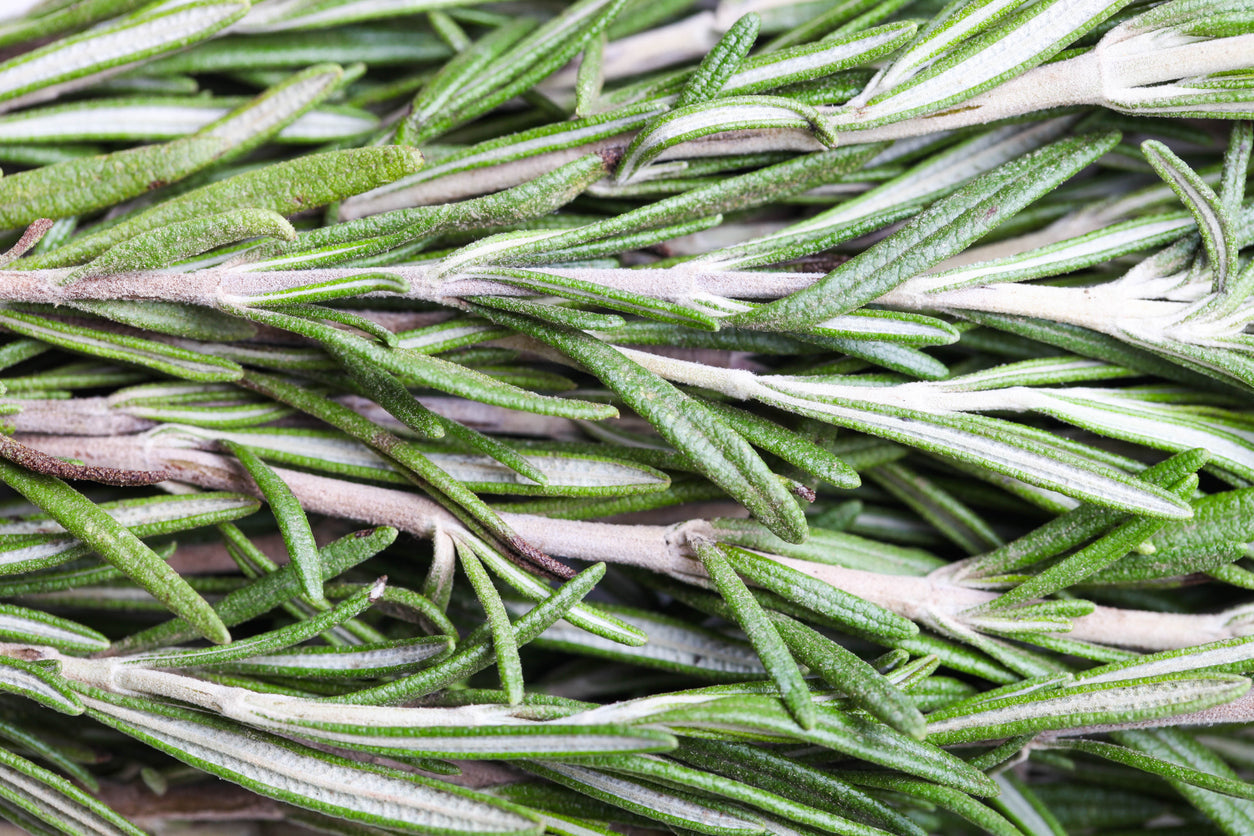Rosemary Oil for Hair Growth: How It Supports Thicker, Fuller Hair Naturally